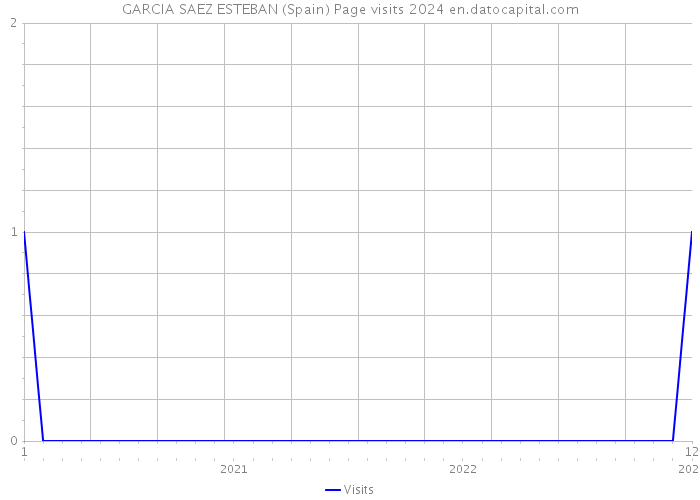 GARCIA SAEZ ESTEBAN (Spain) Page visits 2024 