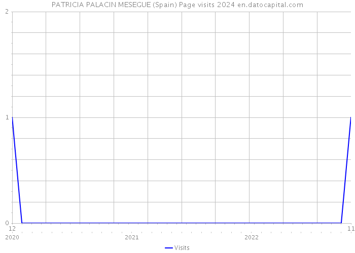 PATRICIA PALACIN MESEGUE (Spain) Page visits 2024 