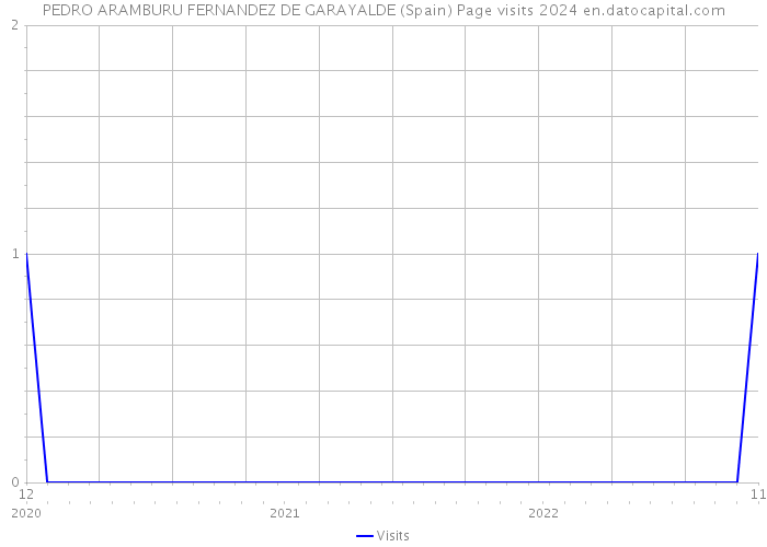 PEDRO ARAMBURU FERNANDEZ DE GARAYALDE (Spain) Page visits 2024 