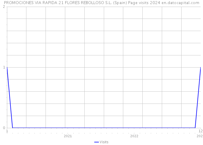 PROMOCIONES VIA RAPIDA 21 FLORES REBOLLOSO S.L. (Spain) Page visits 2024 