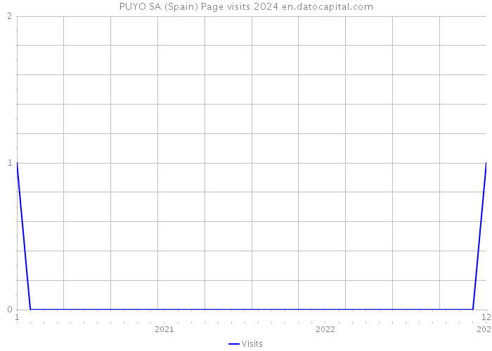 PUYO SA (Spain) Page visits 2024 