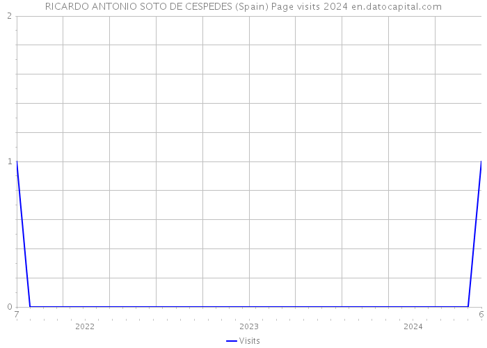 RICARDO ANTONIO SOTO DE CESPEDES (Spain) Page visits 2024 