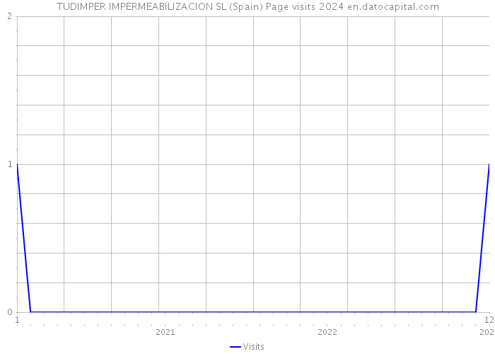 TUDIMPER IMPERMEABILIZACION SL (Spain) Page visits 2024 