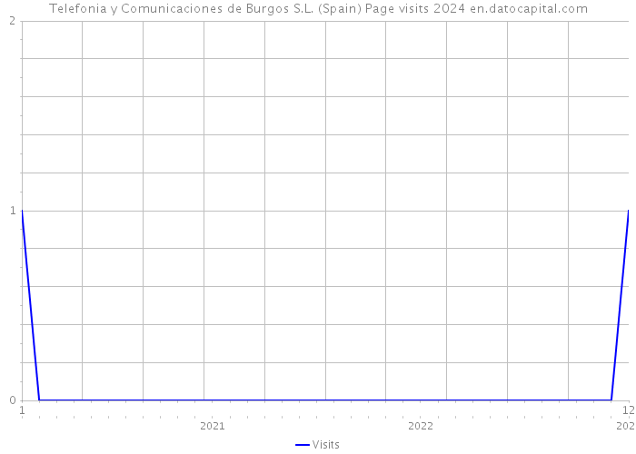 Telefonia y Comunicaciones de Burgos S.L. (Spain) Page visits 2024 