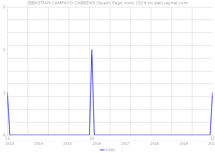 SEBASTIAN CAMPAYO CABIEDAS (Spain) Page visits 2024 