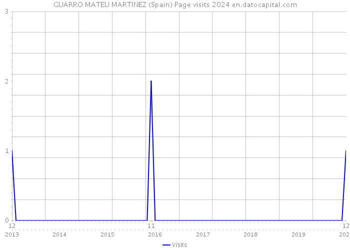 GUARRO MATEU MARTINEZ (Spain) Page visits 2024 