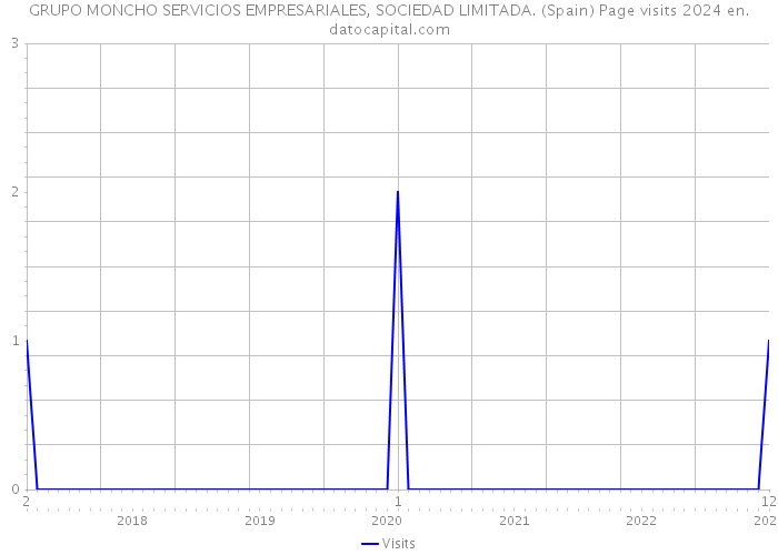 GRUPO MONCHO SERVICIOS EMPRESARIALES, SOCIEDAD LIMITADA. (Spain) Page visits 2024 