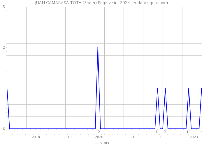 JUAN CAMARASA TOTH (Spain) Page visits 2024 