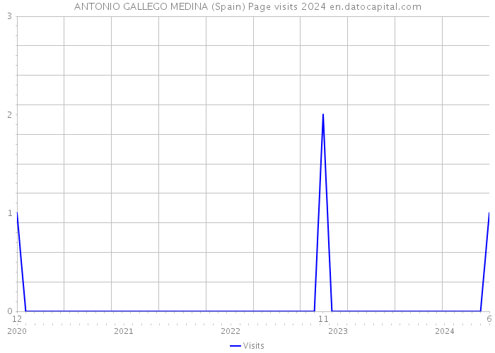 ANTONIO GALLEGO MEDINA (Spain) Page visits 2024 