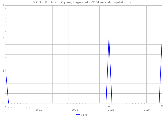 VASALDORA SLP. (Spain) Page visits 2024 