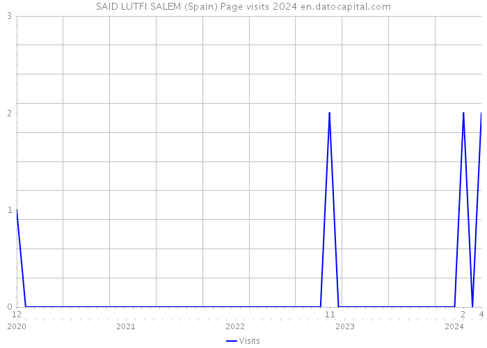 SAID LUTFI SALEM (Spain) Page visits 2024 