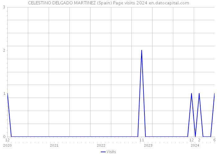 CELESTINO DELGADO MARTINEZ (Spain) Page visits 2024 