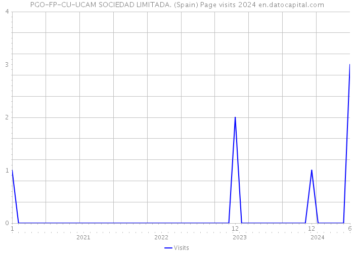 PGO-FP-CU-UCAM SOCIEDAD LIMITADA. (Spain) Page visits 2024 