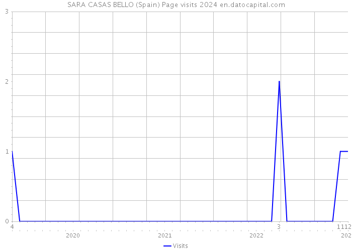 SARA CASAS BELLO (Spain) Page visits 2024 