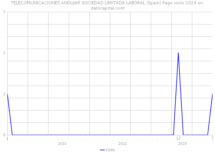 TELECOMUNICACIONES ANDUJAR SOCIEDAD LIMITADA LABORAL (Spain) Page visits 2024 