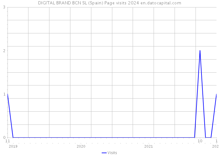 DIGITAL BRAND BCN SL (Spain) Page visits 2024 