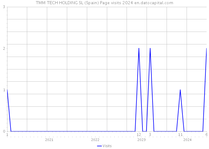 TMM TECH HOLDING SL (Spain) Page visits 2024 