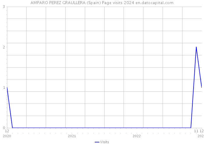 AMPARO PEREZ GRAULLERA (Spain) Page visits 2024 