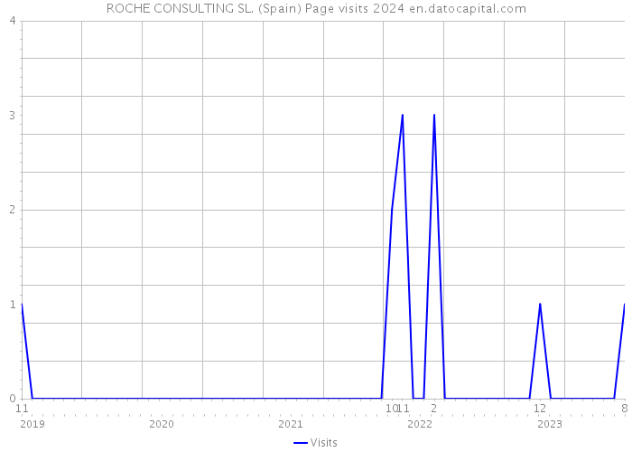 ROCHE CONSULTING SL. (Spain) Page visits 2024 