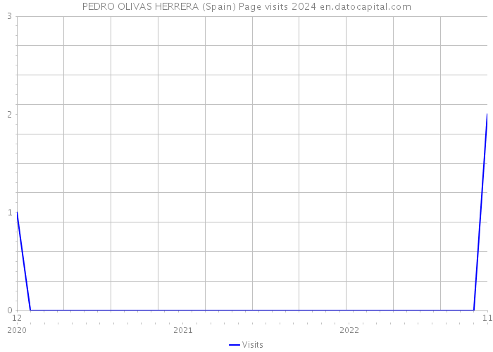 PEDRO OLIVAS HERRERA (Spain) Page visits 2024 