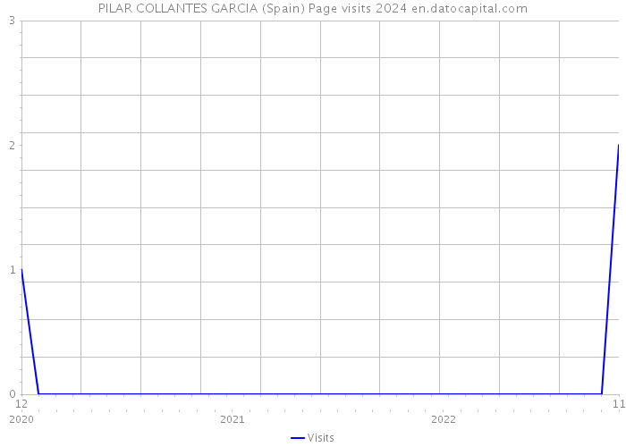 PILAR COLLANTES GARCIA (Spain) Page visits 2024 