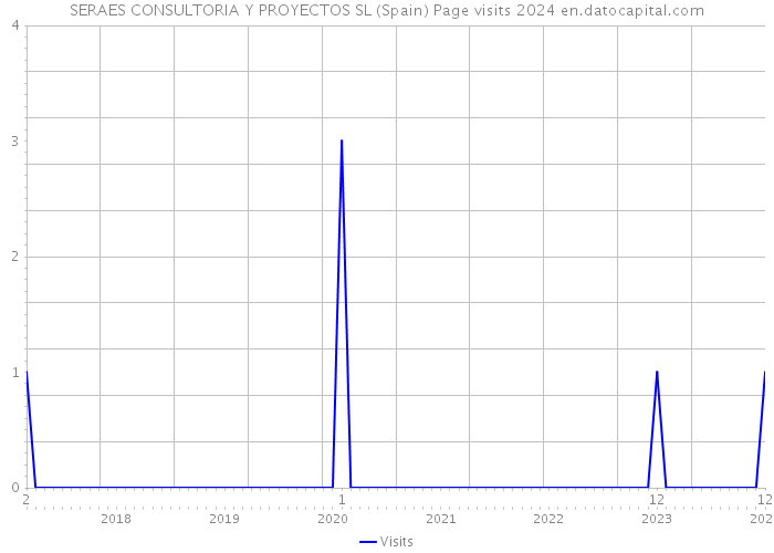 SERAES CONSULTORIA Y PROYECTOS SL (Spain) Page visits 2024 