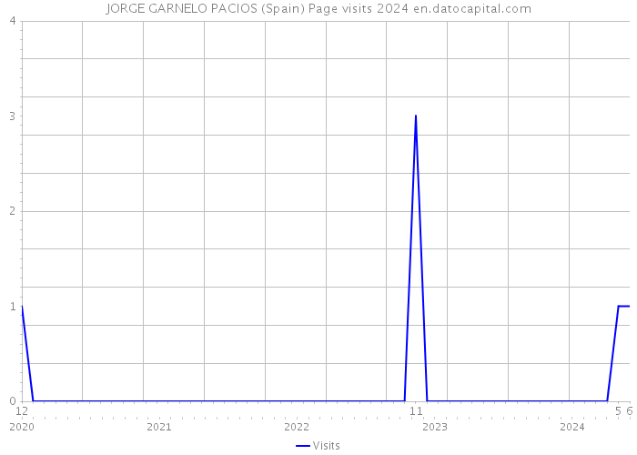 JORGE GARNELO PACIOS (Spain) Page visits 2024 
