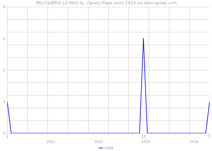 PELUQUERIA LO MAS SL. (Spain) Page visits 2024 