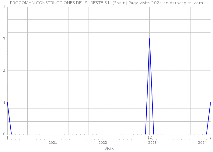 PROCOMAN CONSTRUCCIONES DEL SURESTE S.L. (Spain) Page visits 2024 