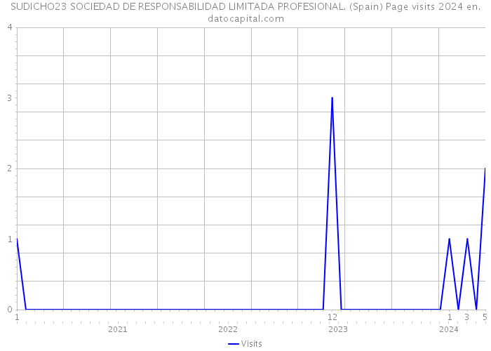 SUDICHO23 SOCIEDAD DE RESPONSABILIDAD LIMITADA PROFESIONAL. (Spain) Page visits 2024 