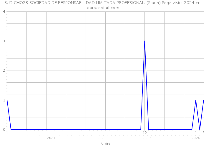 SUDICHO23 SOCIEDAD DE RESPONSABILIDAD LIMITADA PROFESIONAL. (Spain) Page visits 2024 