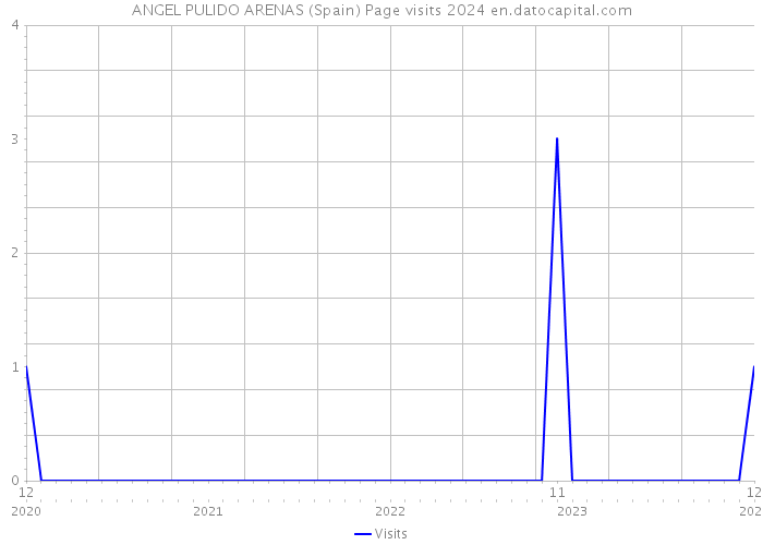 ANGEL PULIDO ARENAS (Spain) Page visits 2024 
