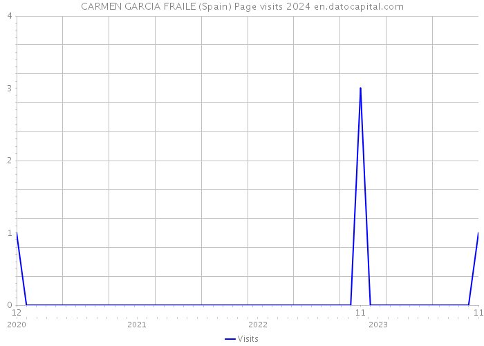 CARMEN GARCIA FRAILE (Spain) Page visits 2024 