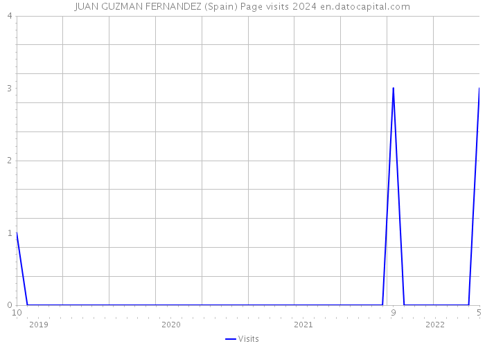 JUAN GUZMAN FERNANDEZ (Spain) Page visits 2024 