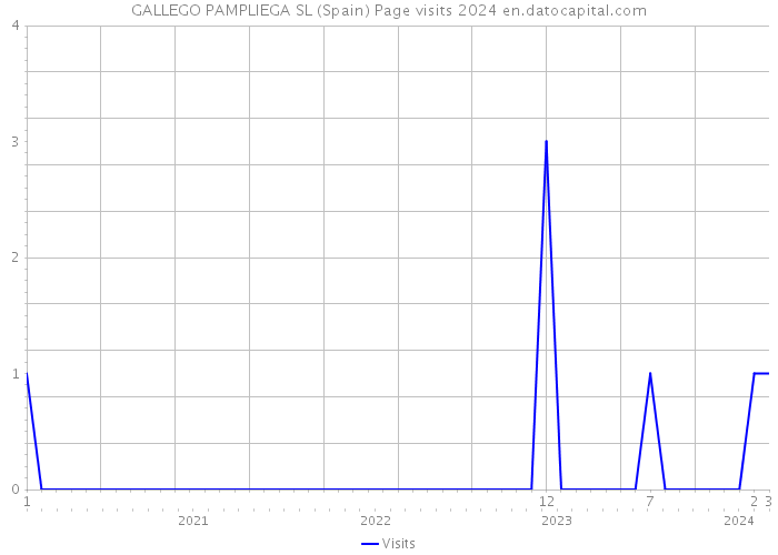 GALLEGO PAMPLIEGA SL (Spain) Page visits 2024 