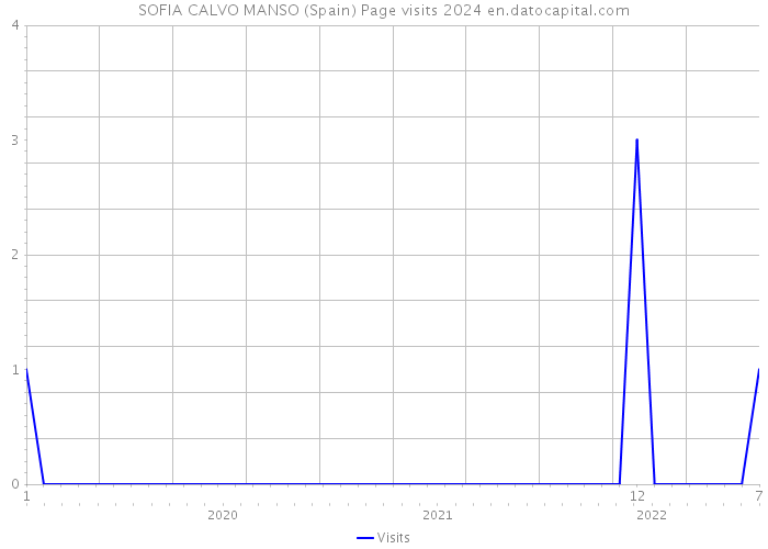 SOFIA CALVO MANSO (Spain) Page visits 2024 