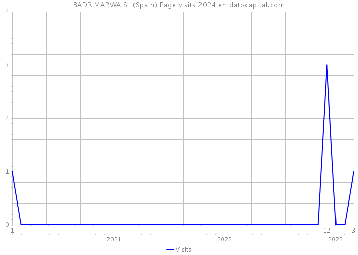 BADR MARWA SL (Spain) Page visits 2024 