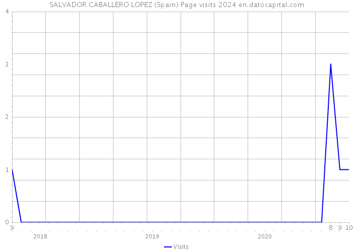 SALVADOR CABALLERO LOPEZ (Spain) Page visits 2024 