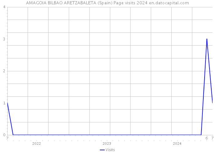 AMAGOIA BILBAO ARETZABALETA (Spain) Page visits 2024 