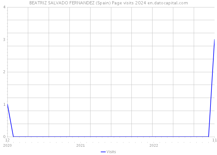 BEATRIZ SALVADO FERNANDEZ (Spain) Page visits 2024 