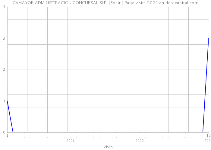 GVMAYOR ADMINISTRACION CONCURSAL SLP. (Spain) Page visits 2024 