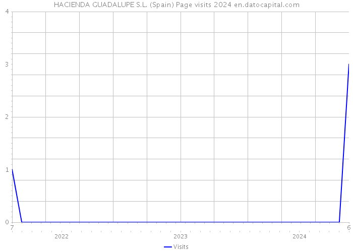 HACIENDA GUADALUPE S.L. (Spain) Page visits 2024 