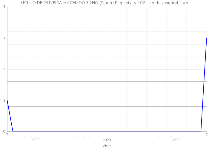 LICINIO DE OLIVEIRA MACHADO FILHO (Spain) Page visits 2024 