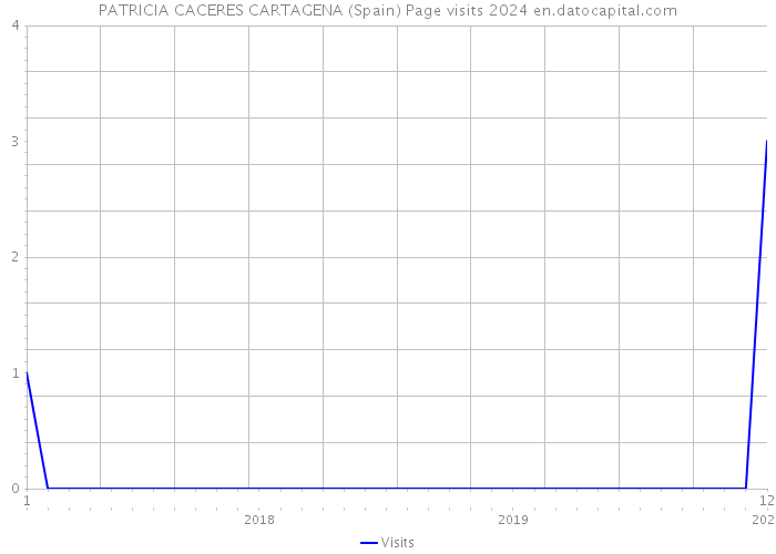 PATRICIA CACERES CARTAGENA (Spain) Page visits 2024 