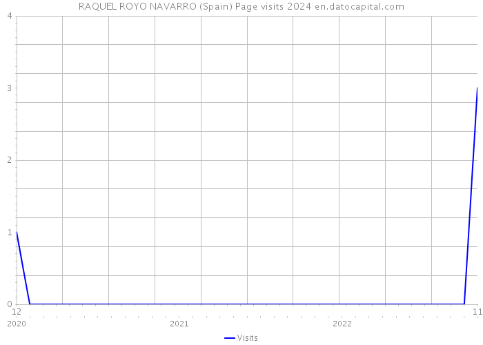RAQUEL ROYO NAVARRO (Spain) Page visits 2024 