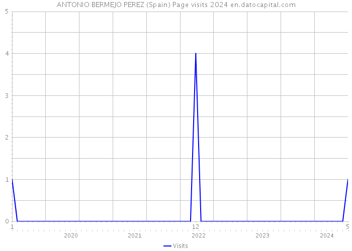 ANTONIO BERMEJO PEREZ (Spain) Page visits 2024 