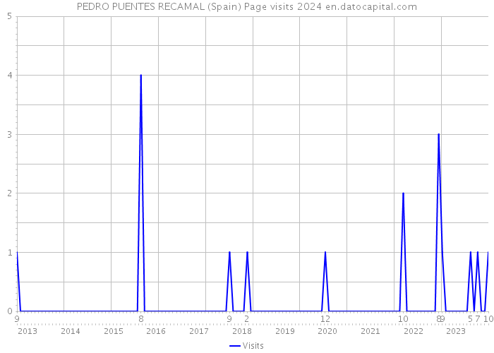 PEDRO PUENTES RECAMAL (Spain) Page visits 2024 