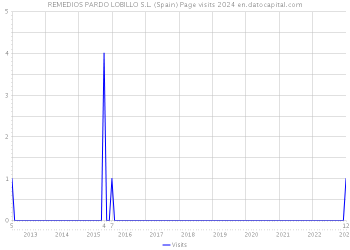 REMEDIOS PARDO LOBILLO S.L. (Spain) Page visits 2024 