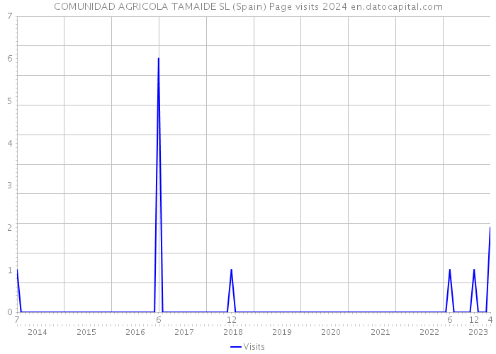 COMUNIDAD AGRICOLA TAMAIDE SL (Spain) Page visits 2024 