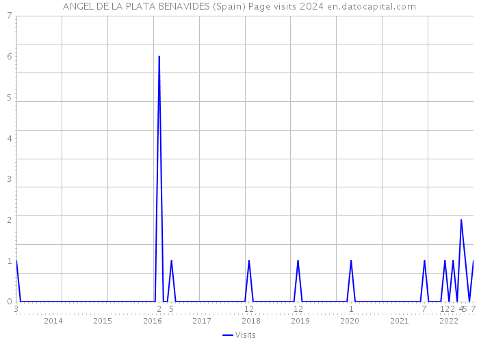ANGEL DE LA PLATA BENAVIDES (Spain) Page visits 2024 